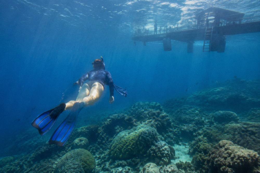 A snorkeller finning over a shallow coral reef beside a tropical island beach