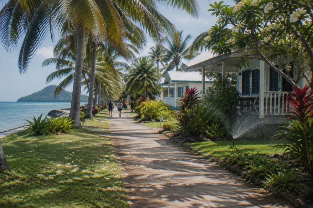Palm trees along a quiet northern beach esplanade north of Cairns